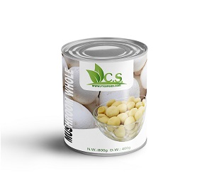 Canned Mushroom